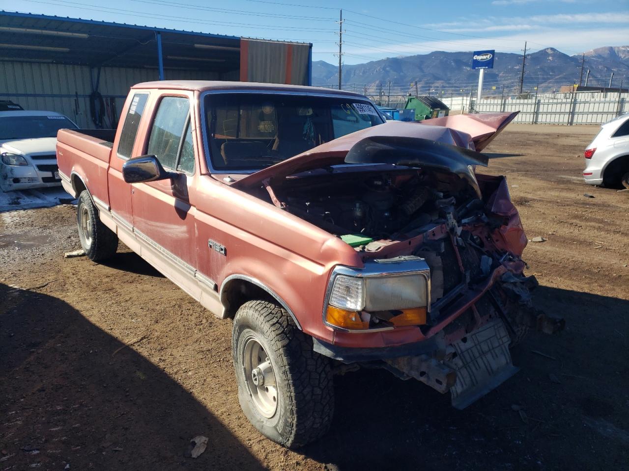 Photo 1 from auction – 1995 FORD F150 with VIN 1FTEX14N9SKB16446