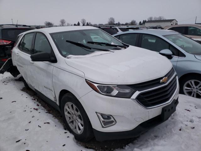 CHEVROLET EQUINOX LS 2019 with VIN 2GNAXSEV5K6242073 - Photo from auction