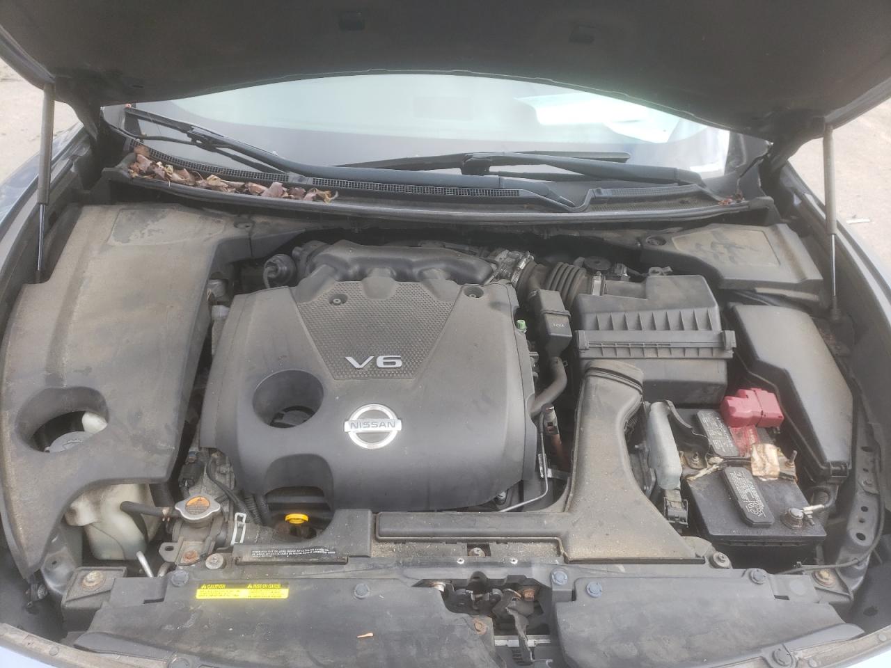 Photo 7 from auction – 2010 NISSAN MAXIMA S with VIN 1N4AA5AP3AC837891