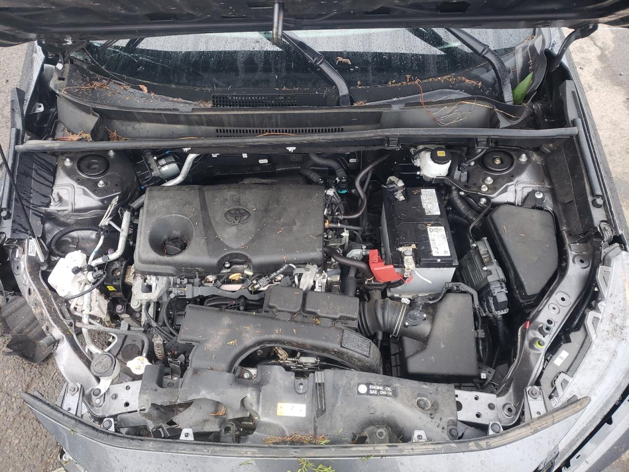 Photo 7 from auction – 2019 TOYOTA RAV4 LE with VIN 2T3G1RFV5KC054588