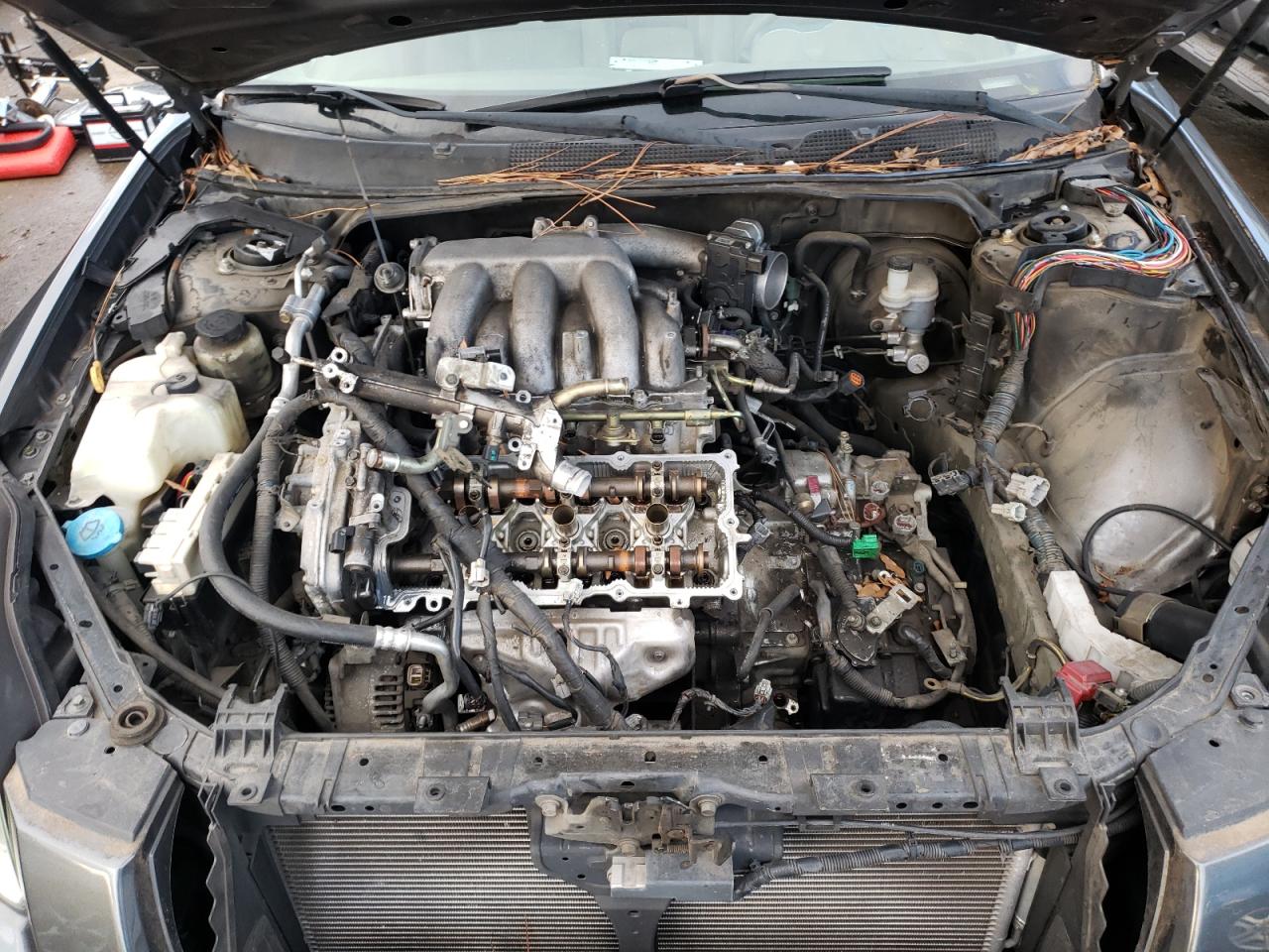 Photo 7 from auction – 2005 NISSAN MAXIMA SE with VIN 1N4BA41E35C849574
