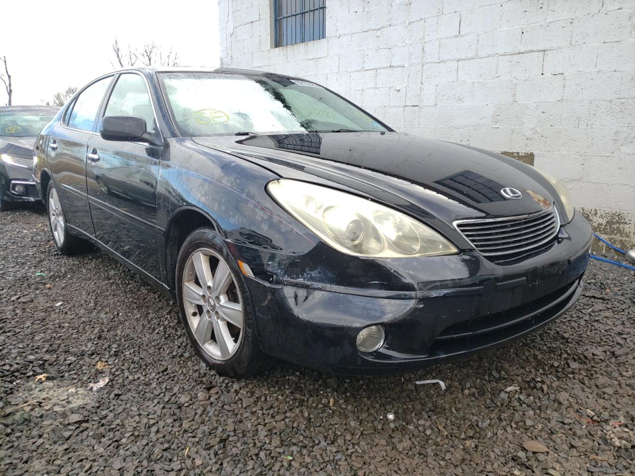 LEXUS ES 330 2005 with VIN JTHBA30GX55076483 - Photo from auction