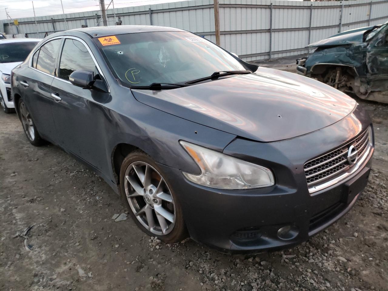 NISSAN MAXIMA S 2009 with VIN 1N4AA51E39C818428 - Photo from auction