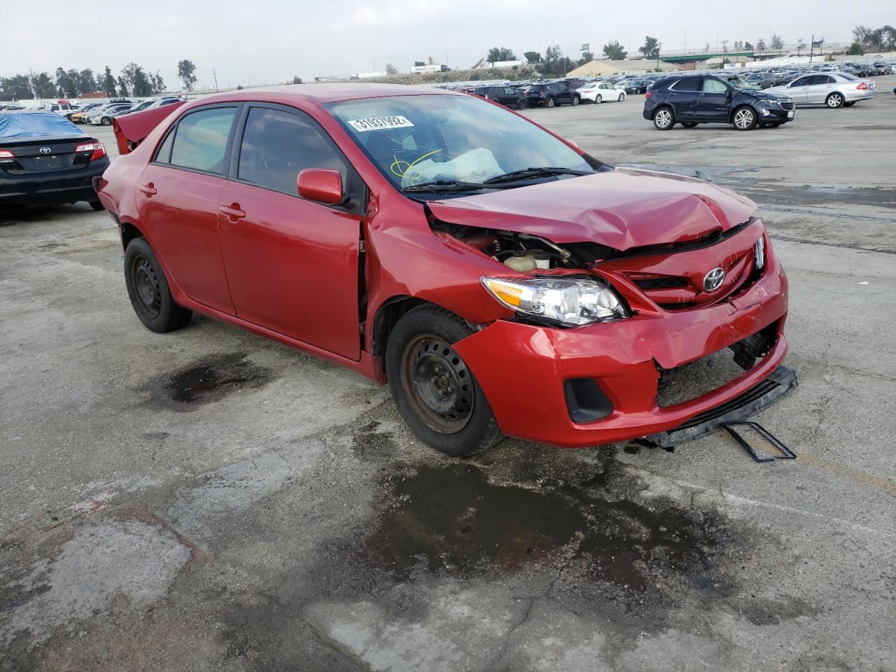 TOYOTA COROLLA BA 2011 with VIN 2T1BU4EE8BC613856 - Photo from auction