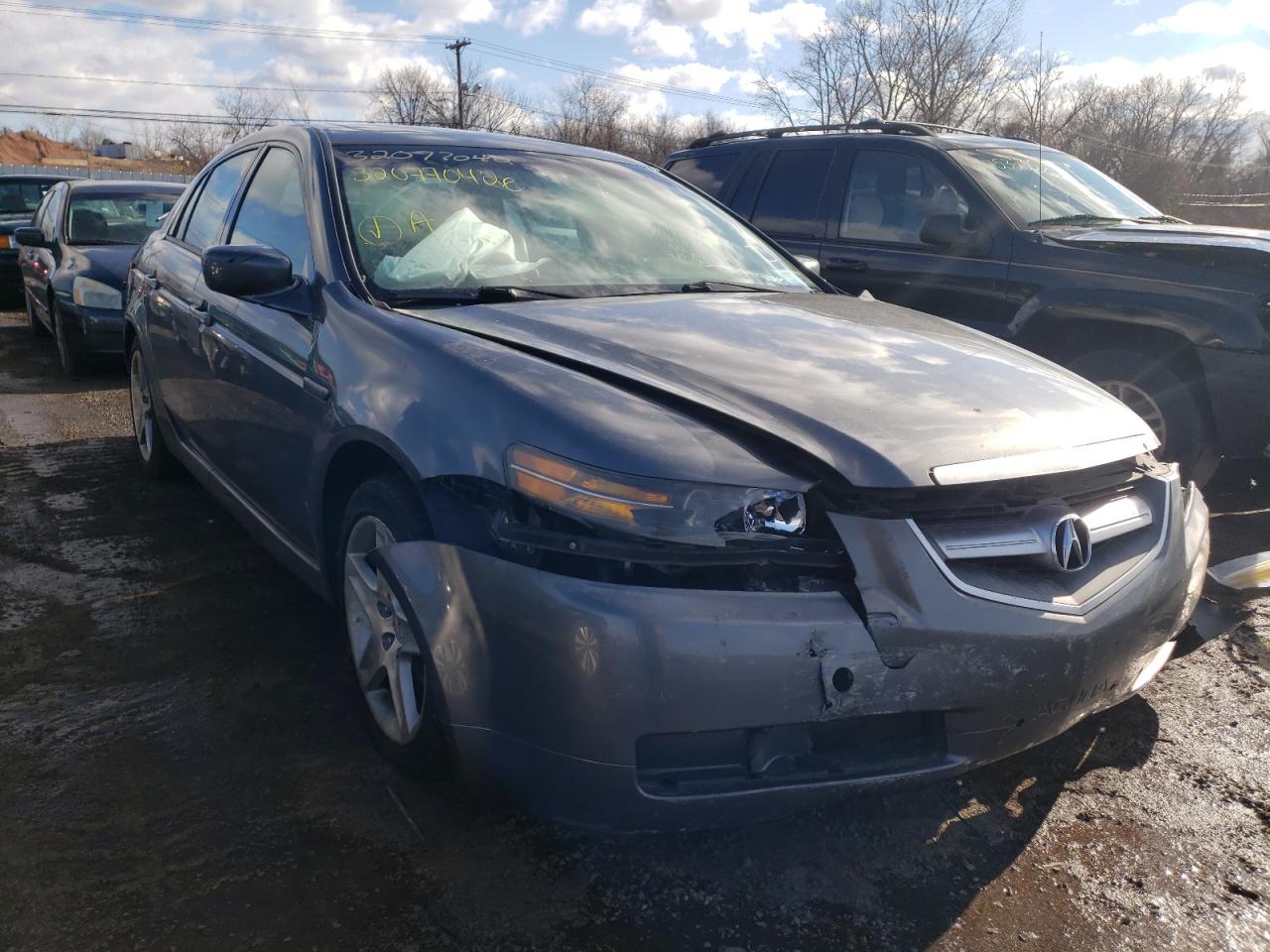 Photo 1 from auction – 2004 ACURA TL with VIN 19UUA66234A062830