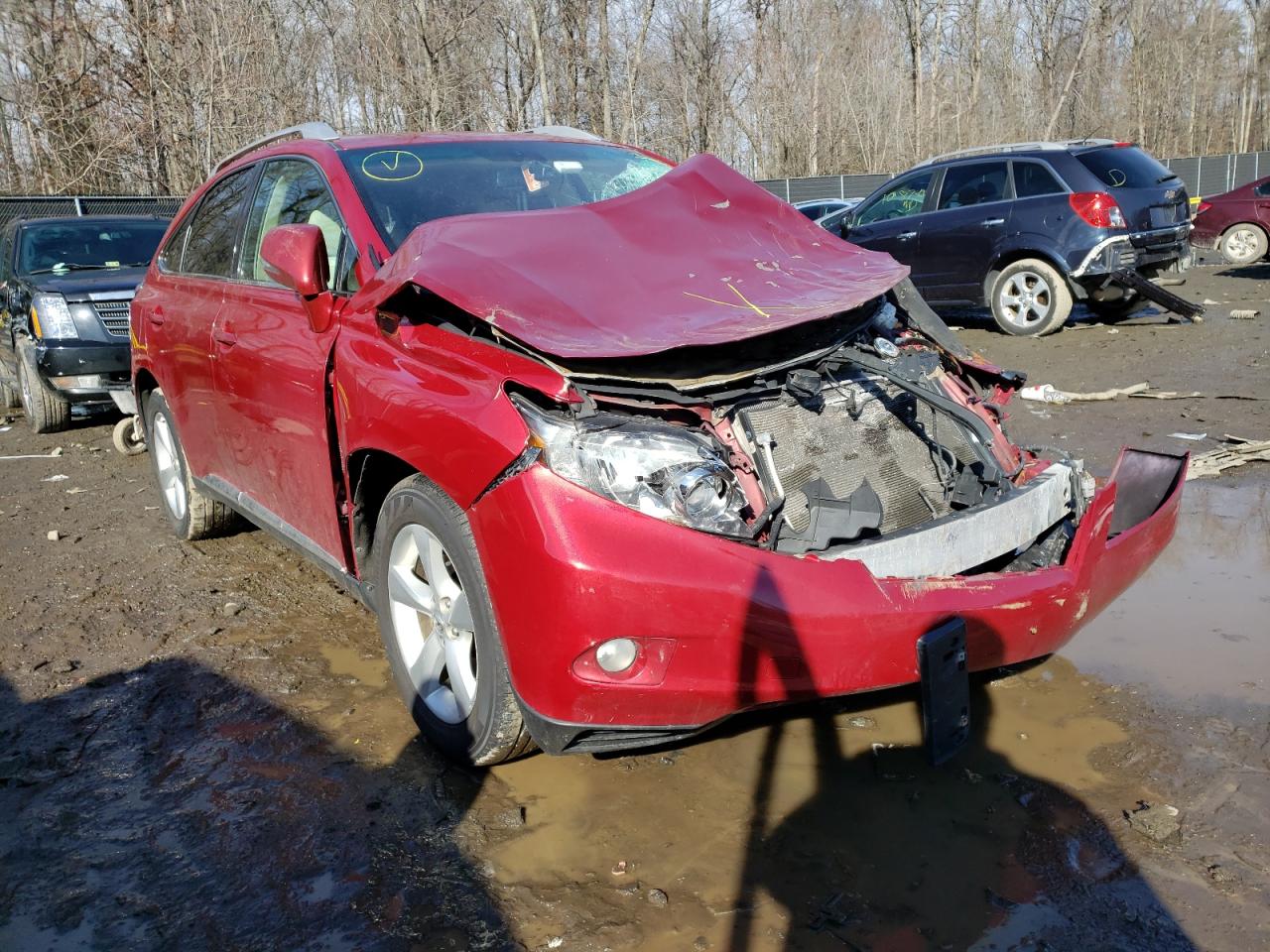 LEXUS RX 350 2010 with VIN 2T2BK1BA4AC075916 - Photo from auction
