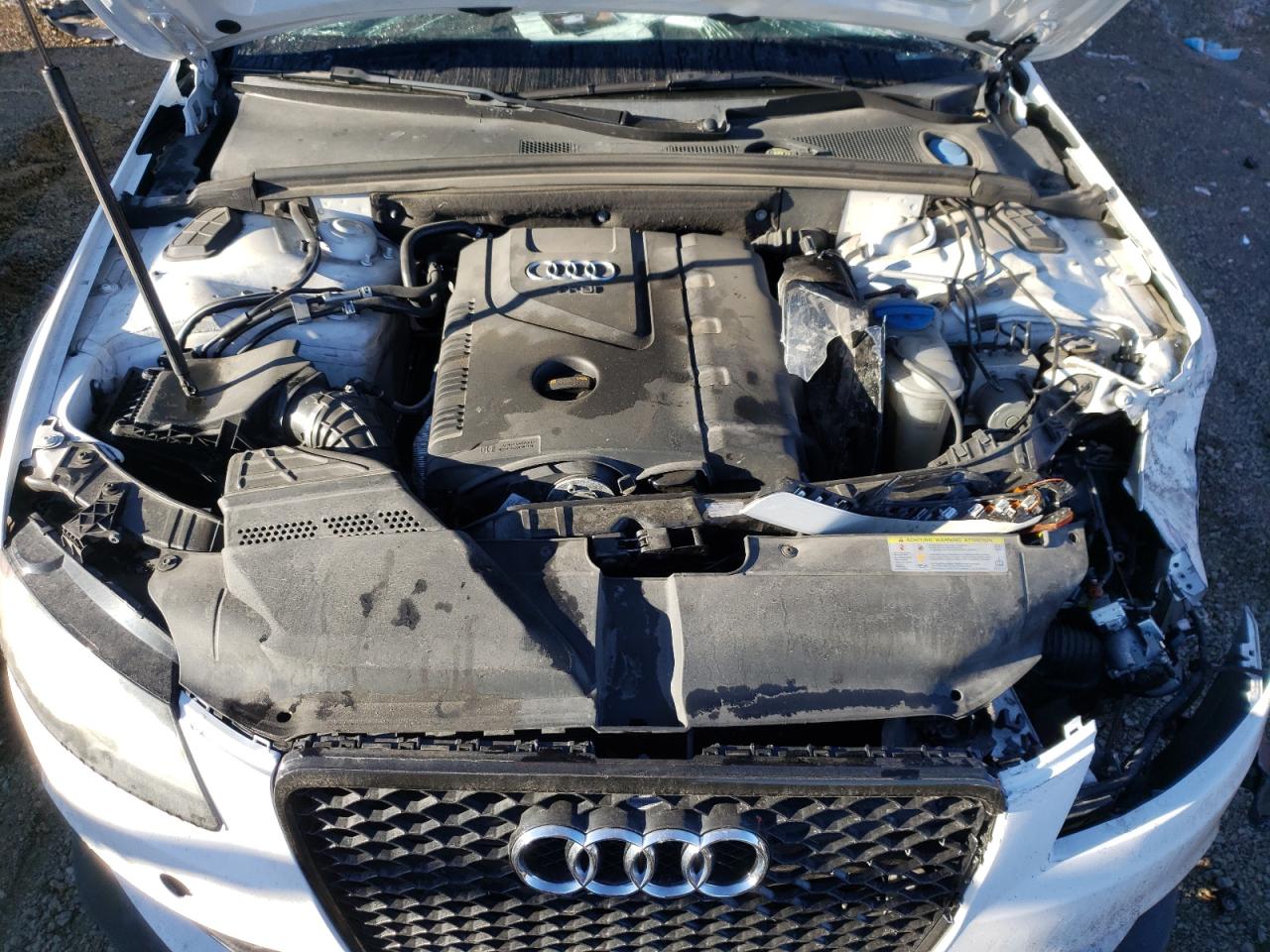 Photo 7 from auction – 2011 AUDI A4 PREMIUM with VIN WAUFFAFL6BN004296