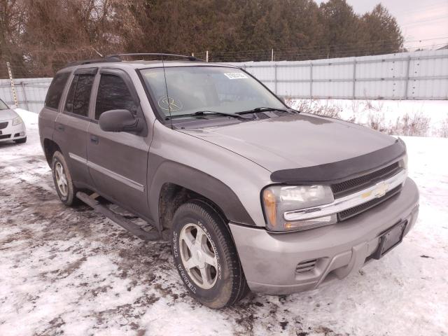 CHEVROLET TRAILBLAZE 2006 with VIN 1GNDT13S662138352 - Photo from auction