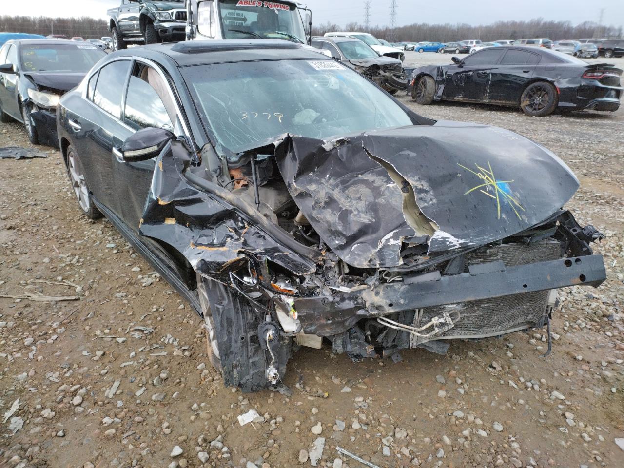 NISSAN MAXIMA S 2011 with VIN 1N4AA5AP4BC843779 - Photo from auction