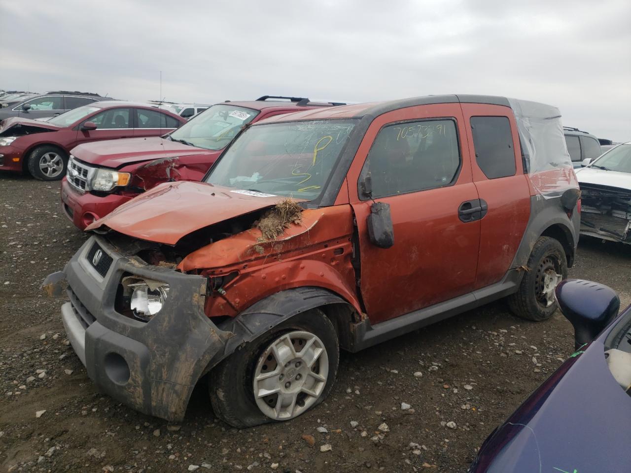 Photo 2 from auction – 2005 HONDA ELEMENT LX with VIN 5J6YH18305L007613