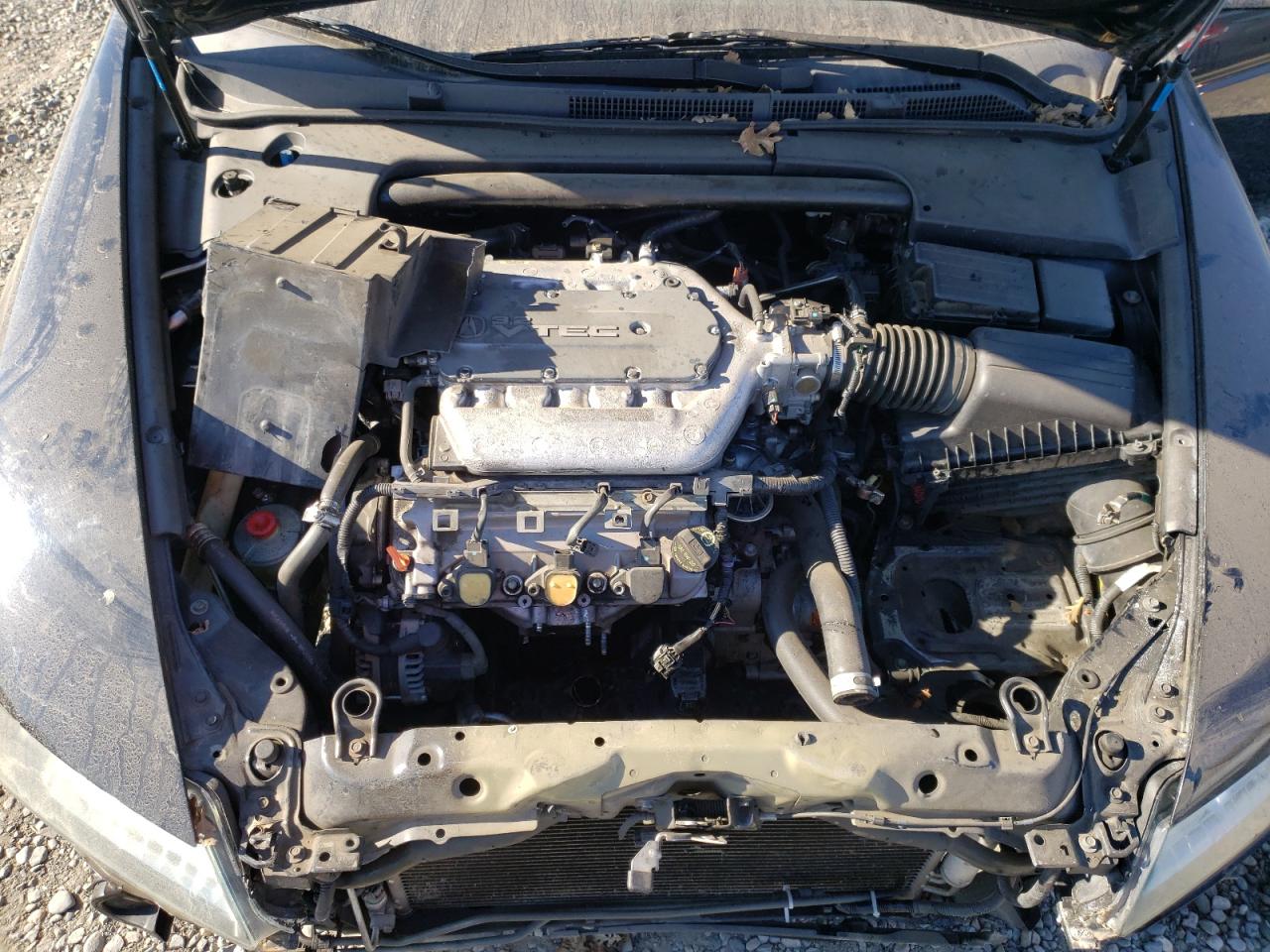 Photo 7 from auction – 2005 ACURA TL with VIN 19UUA66205A080428