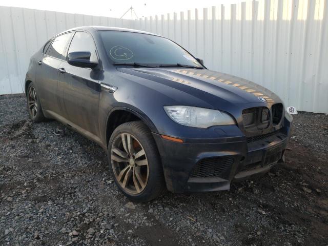 BMW X6 M 2010 with VIN 5YMGZ0C55ALK13657 - Photo from auction