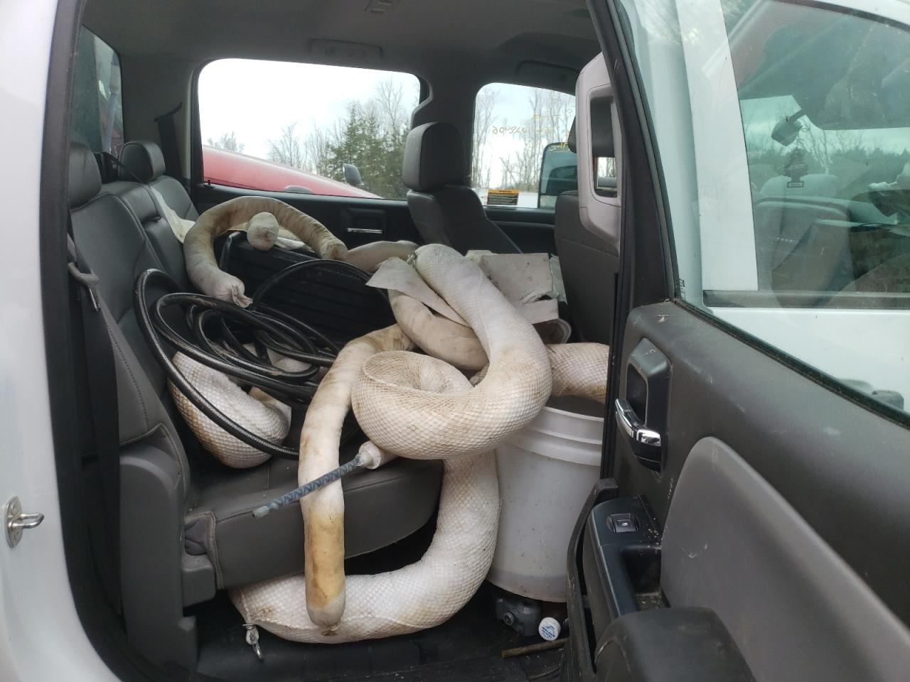Photo 6 from auction – 2019 CHEVROLET SILVERADO with VIN 1HTKHPVK1KH382602