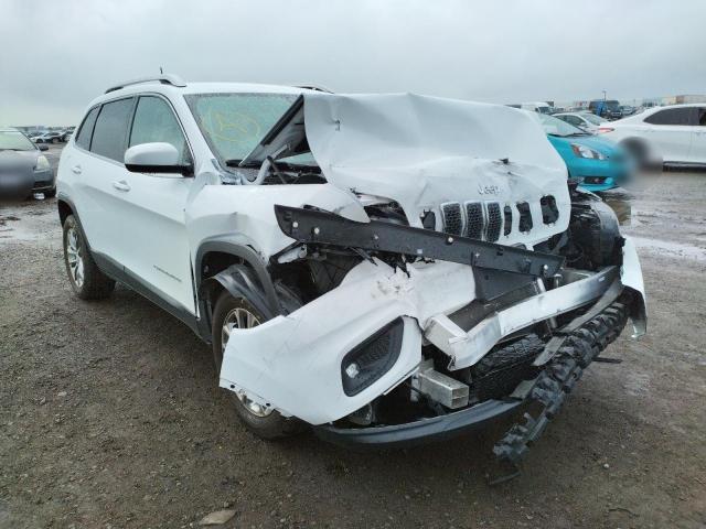 JEEP CHEROKEE L 2019 with VIN 1C4PJLLB7KD206602 - Photo from auction