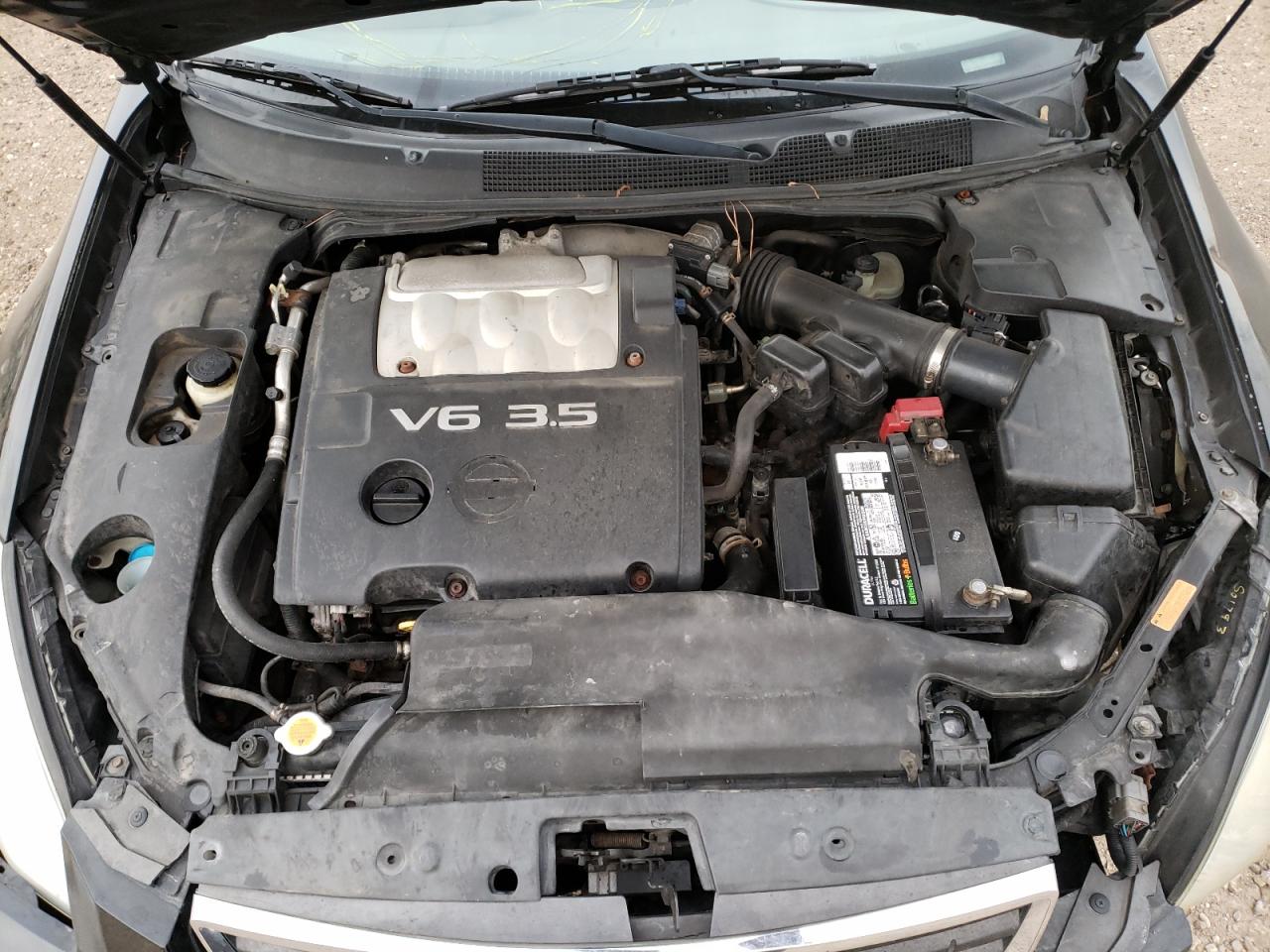 Photo 7 from auction – 2007 NISSAN MAXIMA SE with VIN 1N4BA41E87C850187