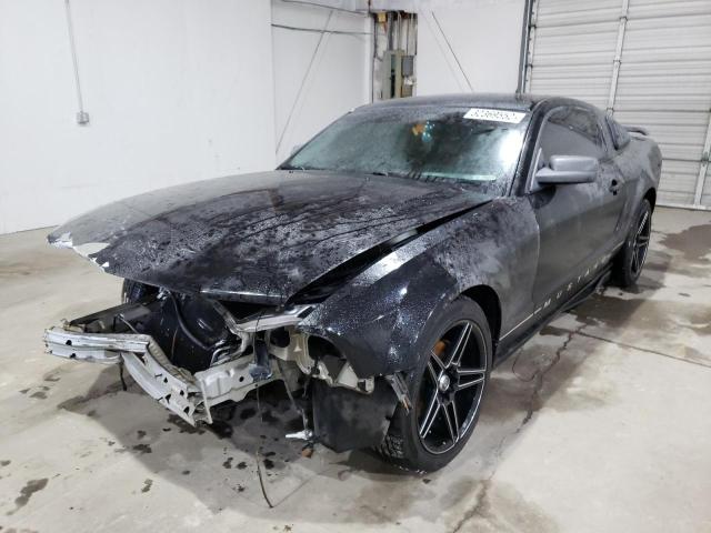 Photo 2 from auction – 2005 FORD MUSTANG with VIN 1ZVFT80N855254817