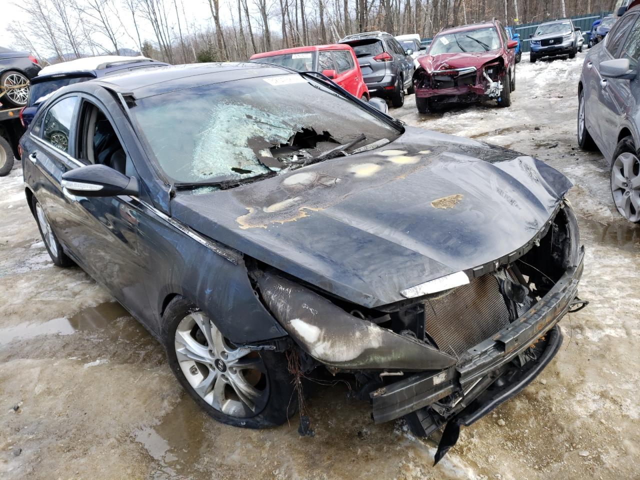 Photo 1 from auction – 2013 HYUNDAI SONATA SE with VIN 5NPEC4AC5DH653252
