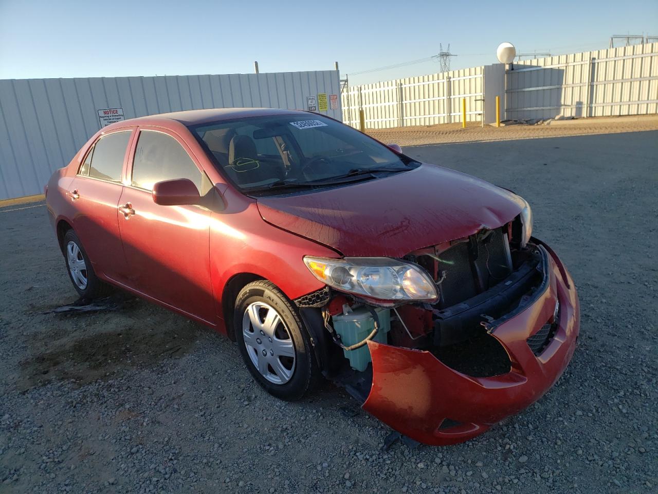 TOYOTA COROLLA 2010 with VIN 1NXBU4EE9AZ187043 - Photo from auction