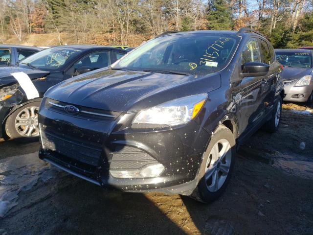 Photo 2 from auction – 2014 FORD ESCAPE SE with VIN 1FMCU0GXXEUD23939