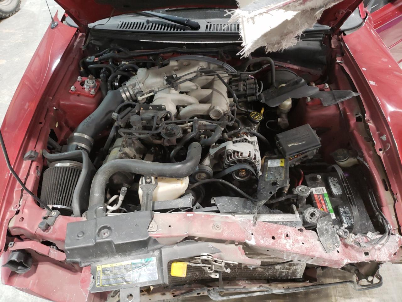 Photo 7 from auction – 2004 FORD MUSTANG with VIN 1FAFP40684F230346