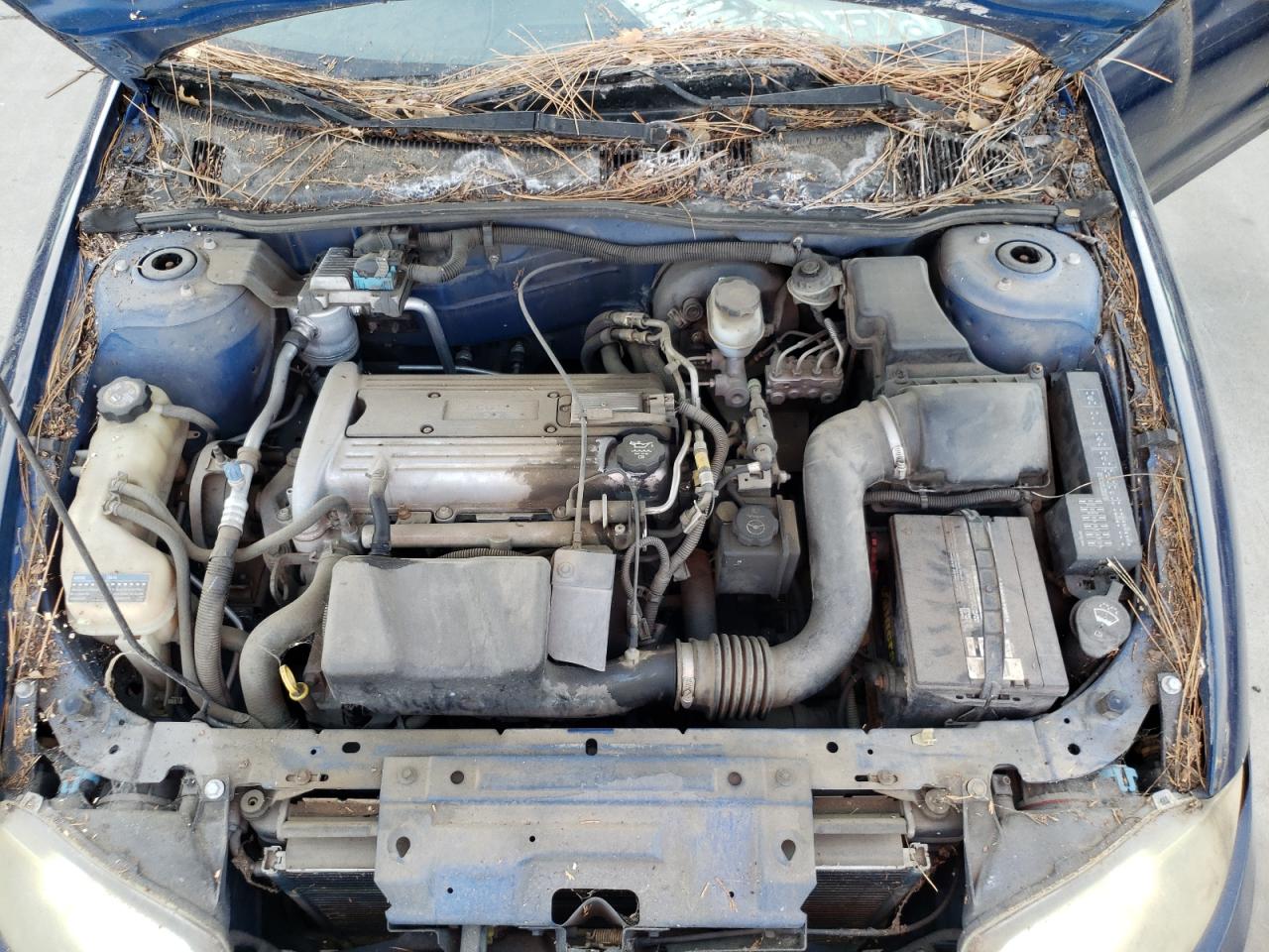 Photo 7 from auction – 2004 CHEVROLET CAVALIER with VIN 1G1JC52F747164376
