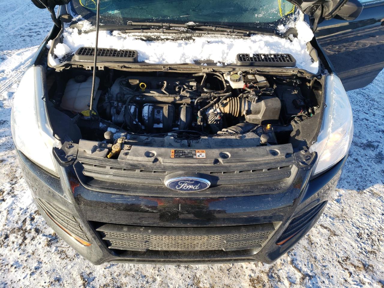 Photo 7 from auction – 2014 FORD ESCAPE S with VIN 1FMCU0F77EUC12816