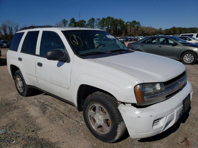 CHEVROLET TRAILBLAZE 2008 with VIN 1GNDS13S382130019 - Photo from auction
