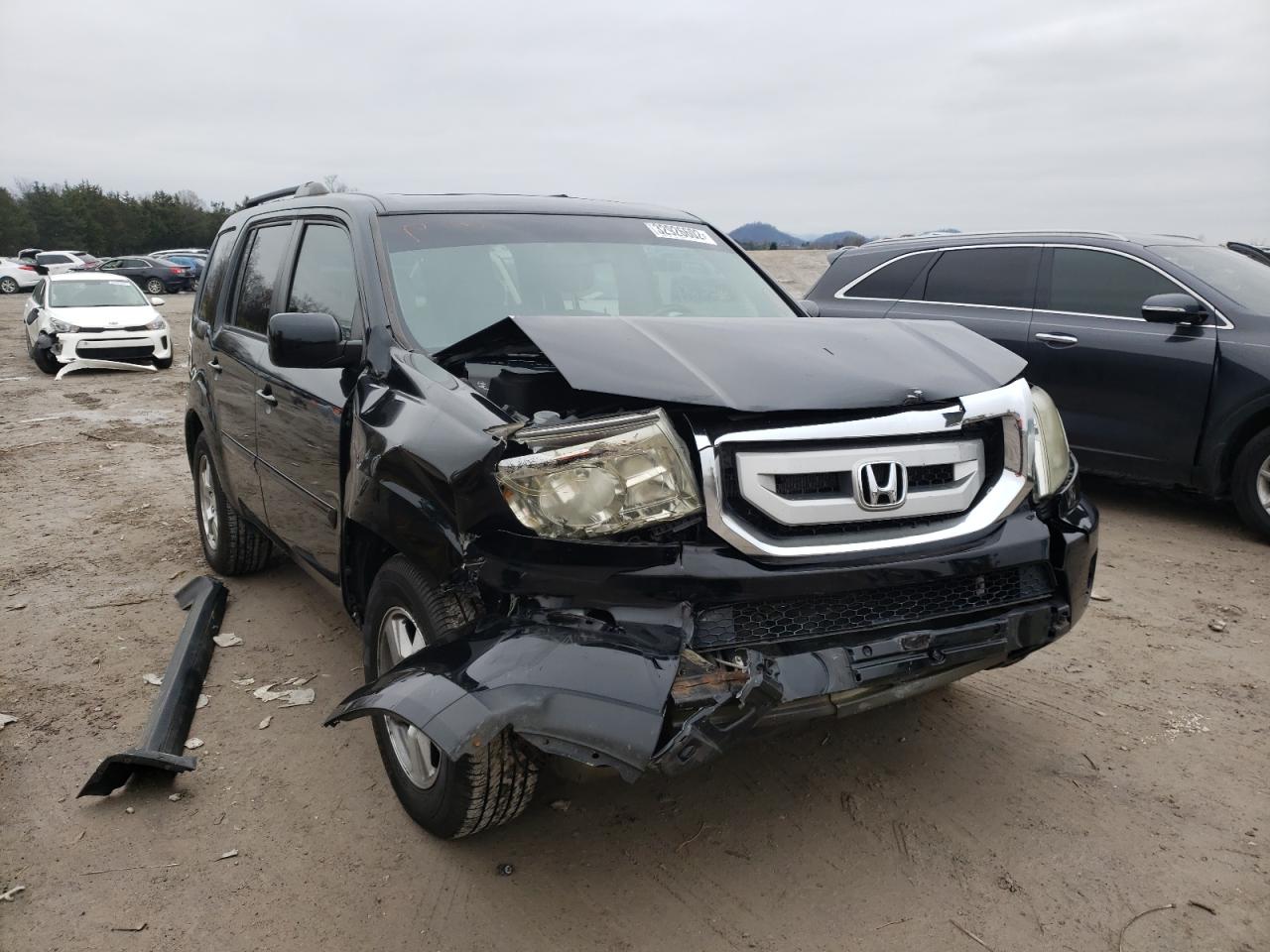 HONDA PILOT EXL 2009 with VIN 5FNYF48539B017740 - Photo from auction