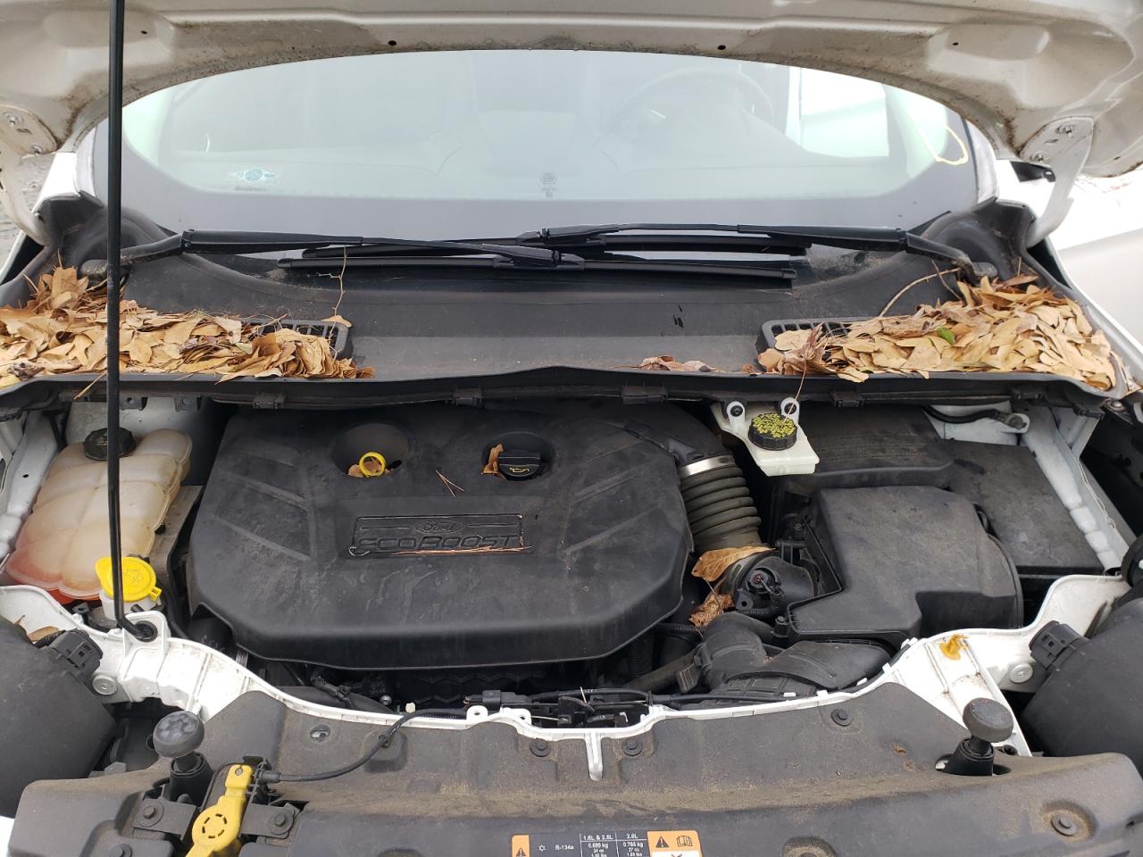 Photo 7 from auction – 2014 FORD ESCAPE TIT with VIN 1FMCU9J95EUB21959