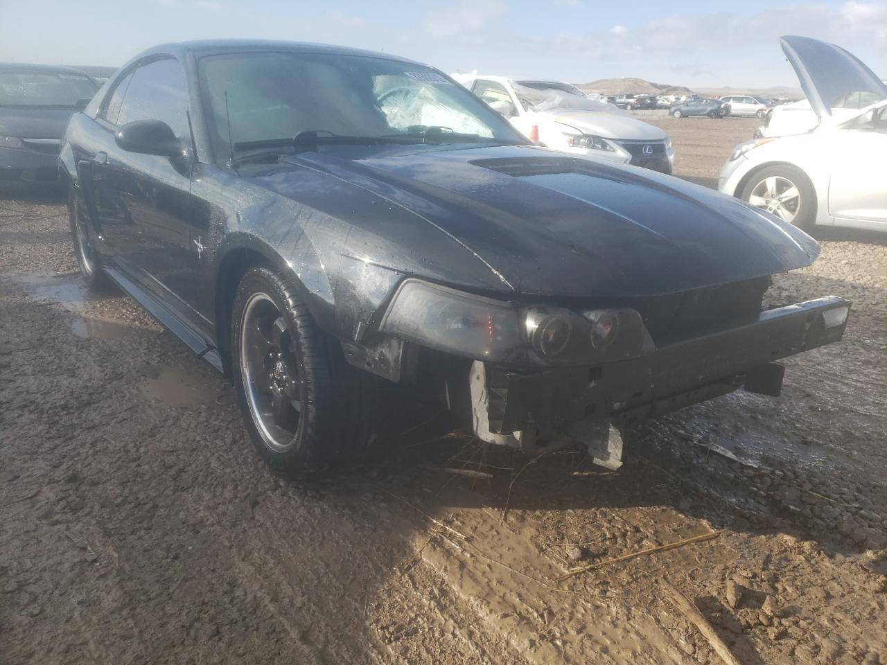 FORD MUSTANG 2002 with VIN 1FAFP40412F222519 - Photo from auction