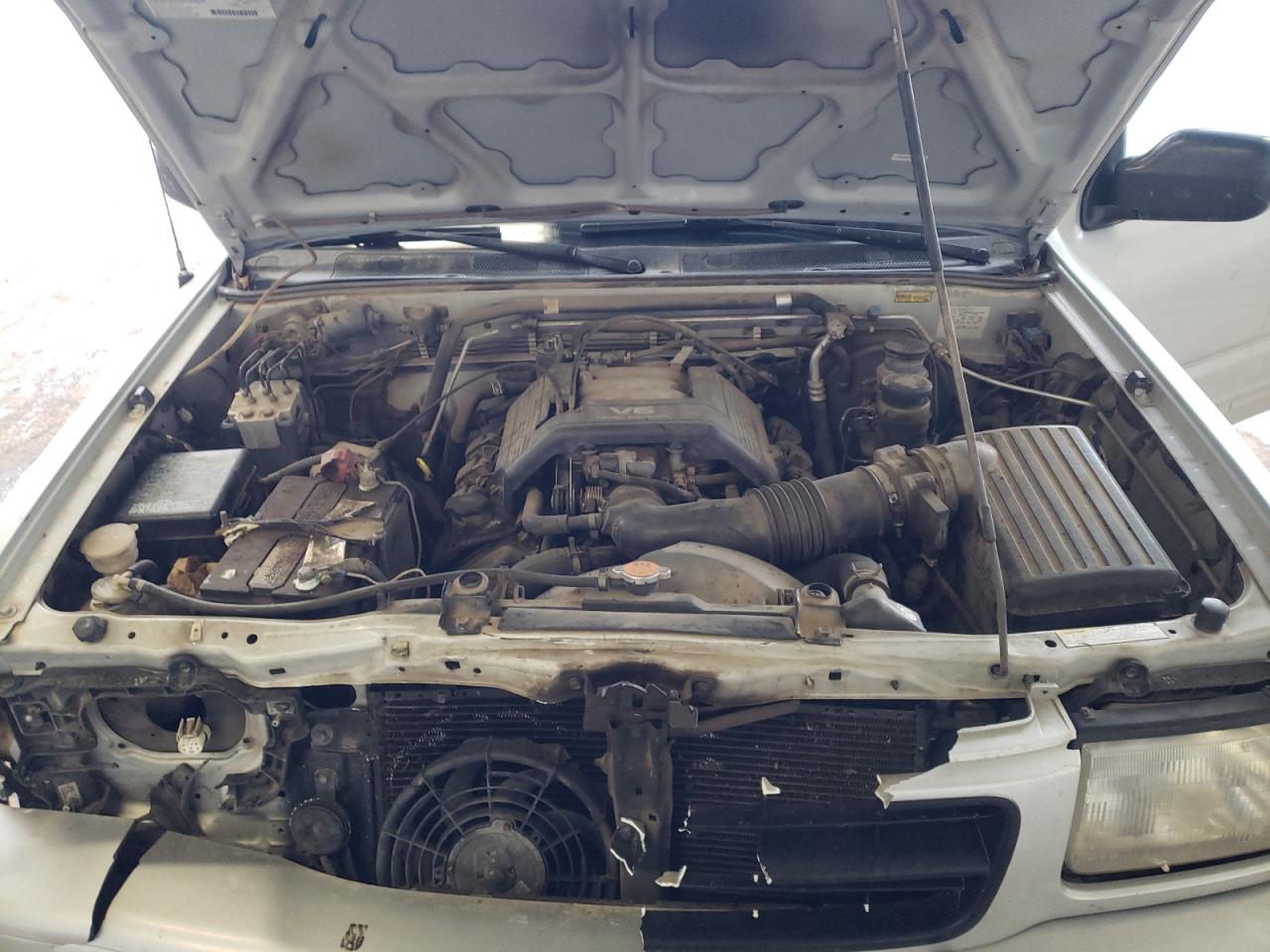 Photo 7 from auction – 1998 HONDA PASSPORT E with VIN 4S6CM58WXW4403768
