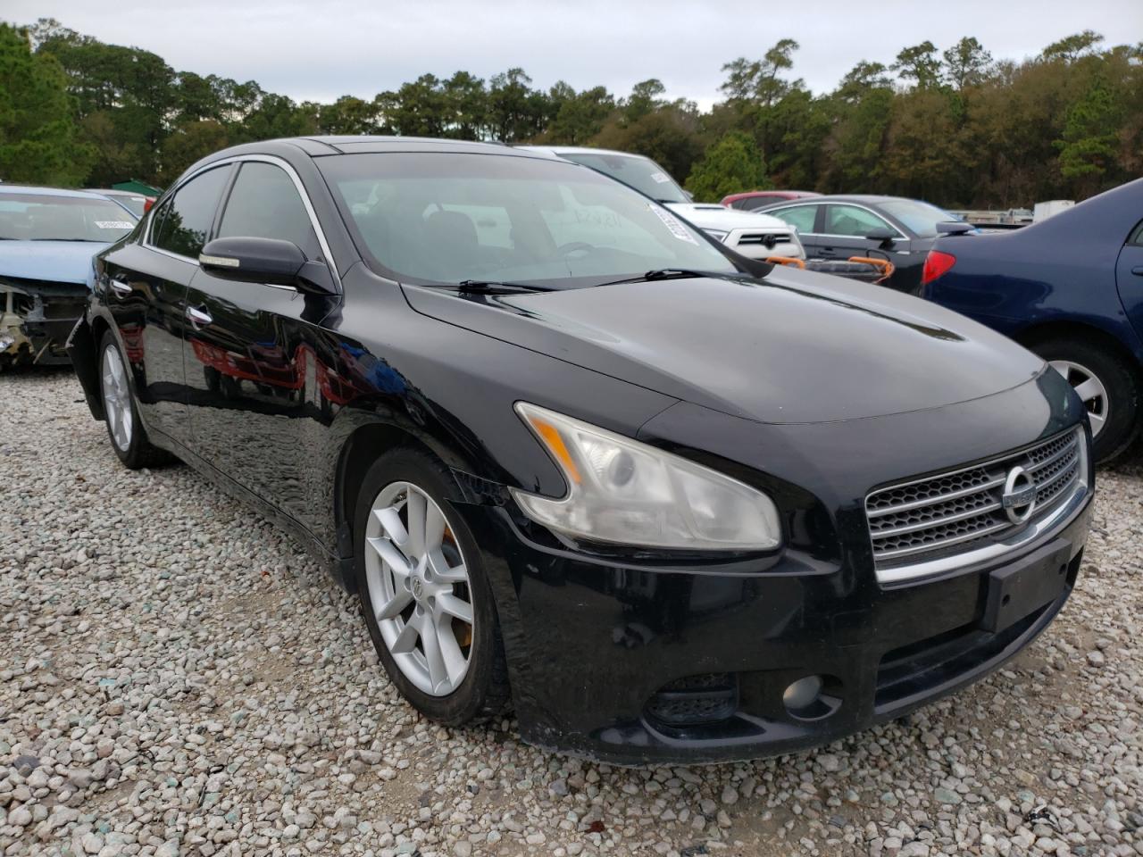 NISSAN MAXIMA S 2010 with VIN 1N4AA5APXAC849147 - Photo from auction