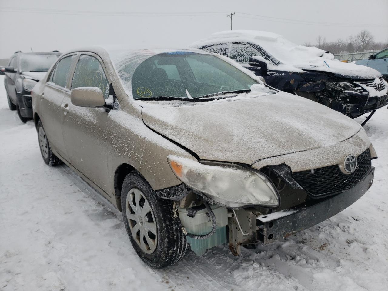 TOYOTA COROLLA BA 2010 with VIN 2T1BU4EE4AC495741 - Photo from auction
