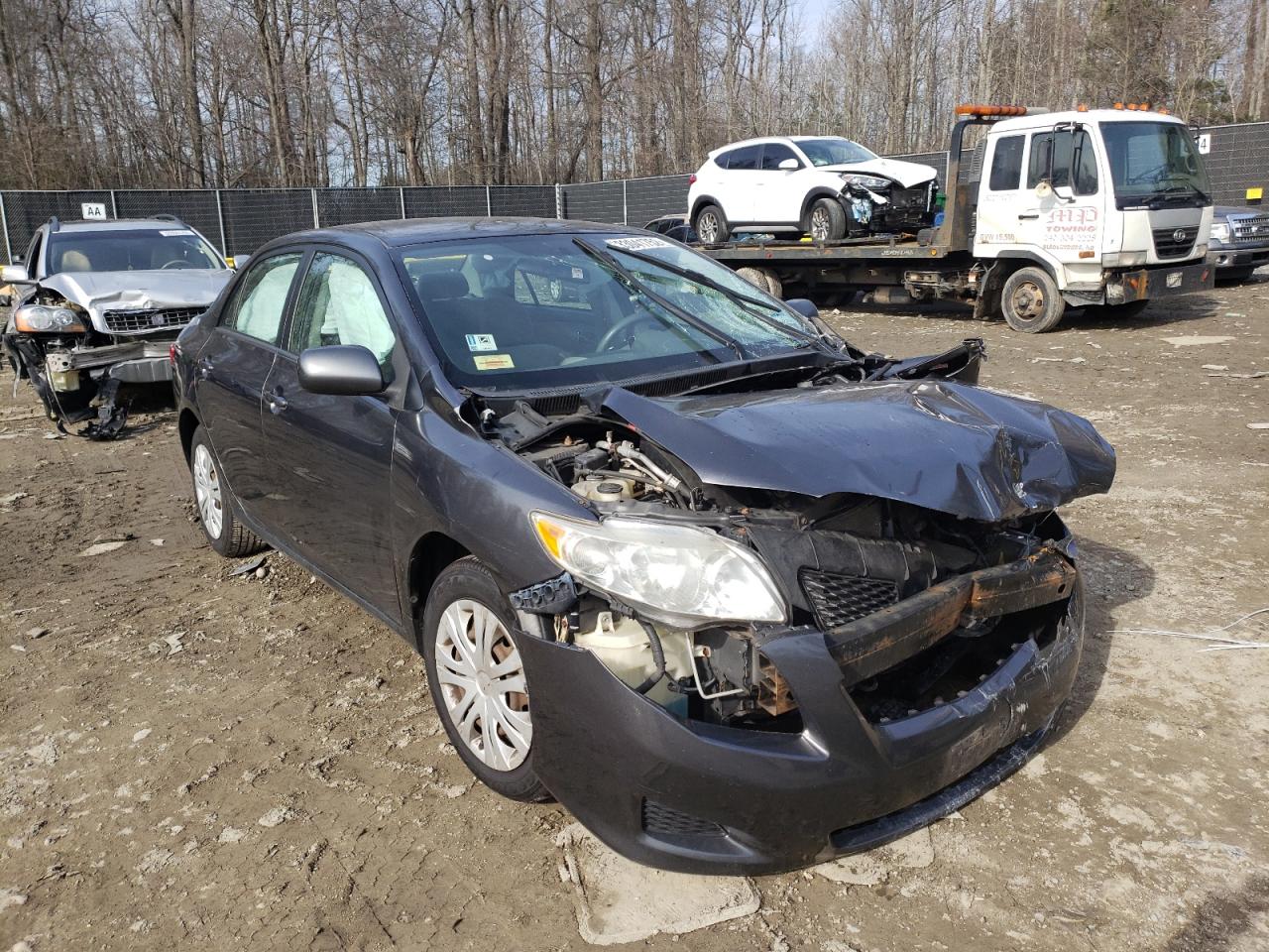 TOYOTA COROLLA BA 2009 with VIN 1NXBU40E69Z160529 - Photo from auction