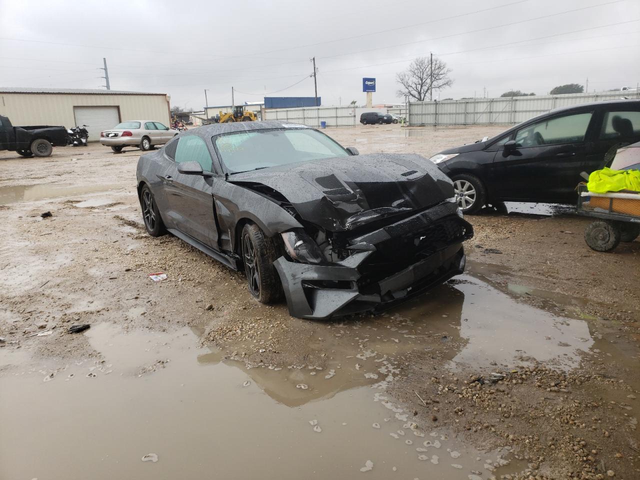 FORD MUSTANG 2019 with VIN 1FA6P8TH5K5194977 - Photo from auction