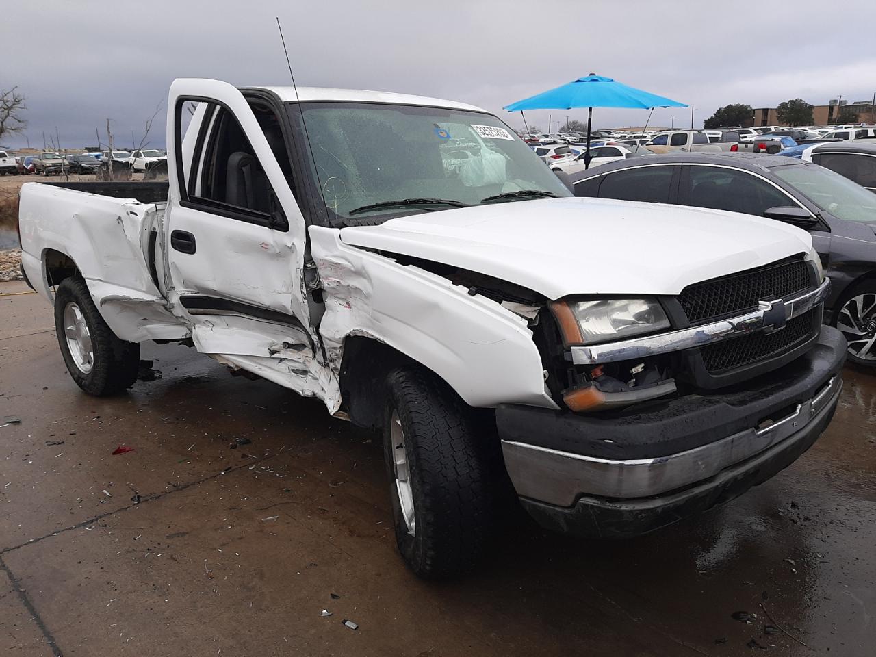 CHEVROLET SILVERADO 2004 with VIN 1GCEC14X44Z109881 - Photo from auction