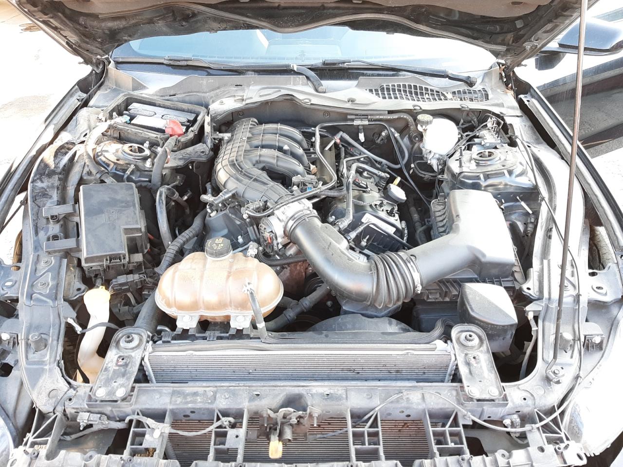 Photo 7 from auction – 2015 FORD MUSTANG with VIN 1FA6P8AM7F5311769