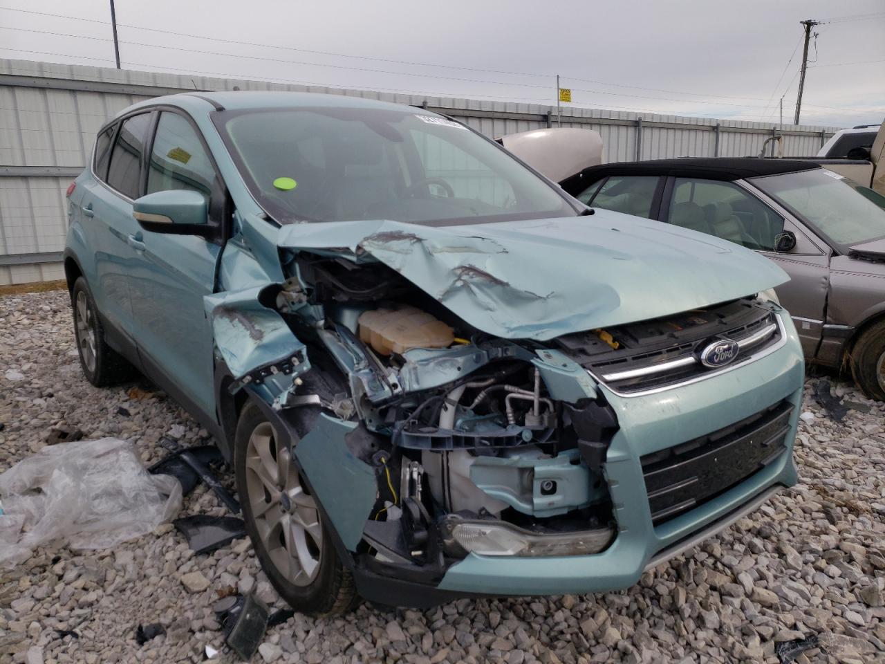 FORD ESCAPE SEL 2013 with VIN 1FMCU0H99DUC94660 - Photo from auction