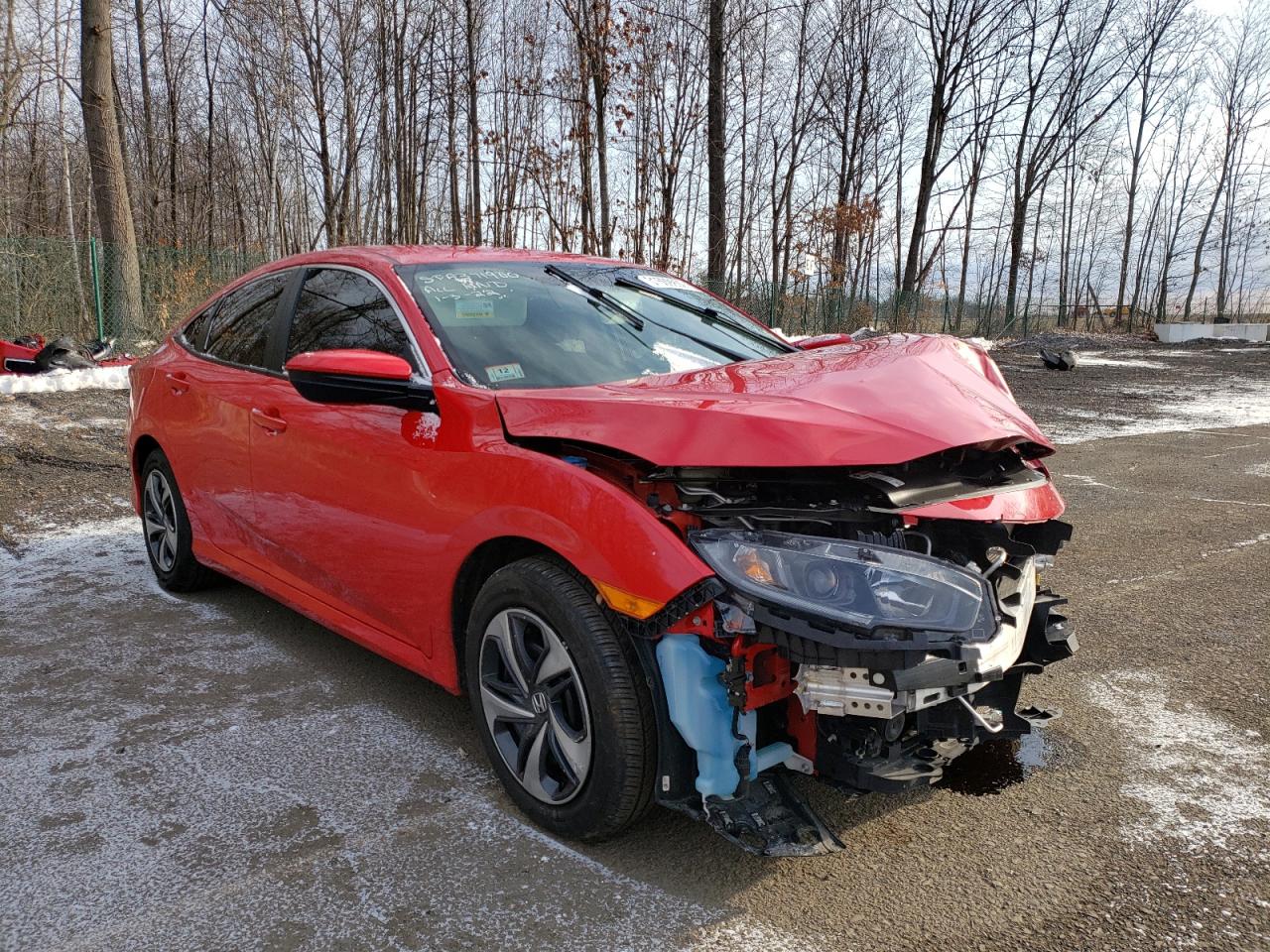 HONDA CIVIC LX 2019 with VIN 2HGFC2F69KH586304 - Photo from auction