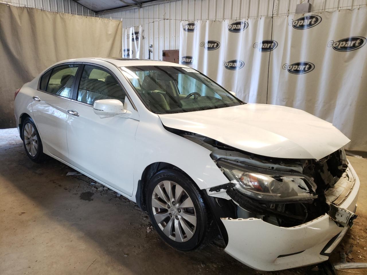 HONDA ACCORD EXL 2013 with VIN 1HGCR2F80DA190878 - Photo from auction