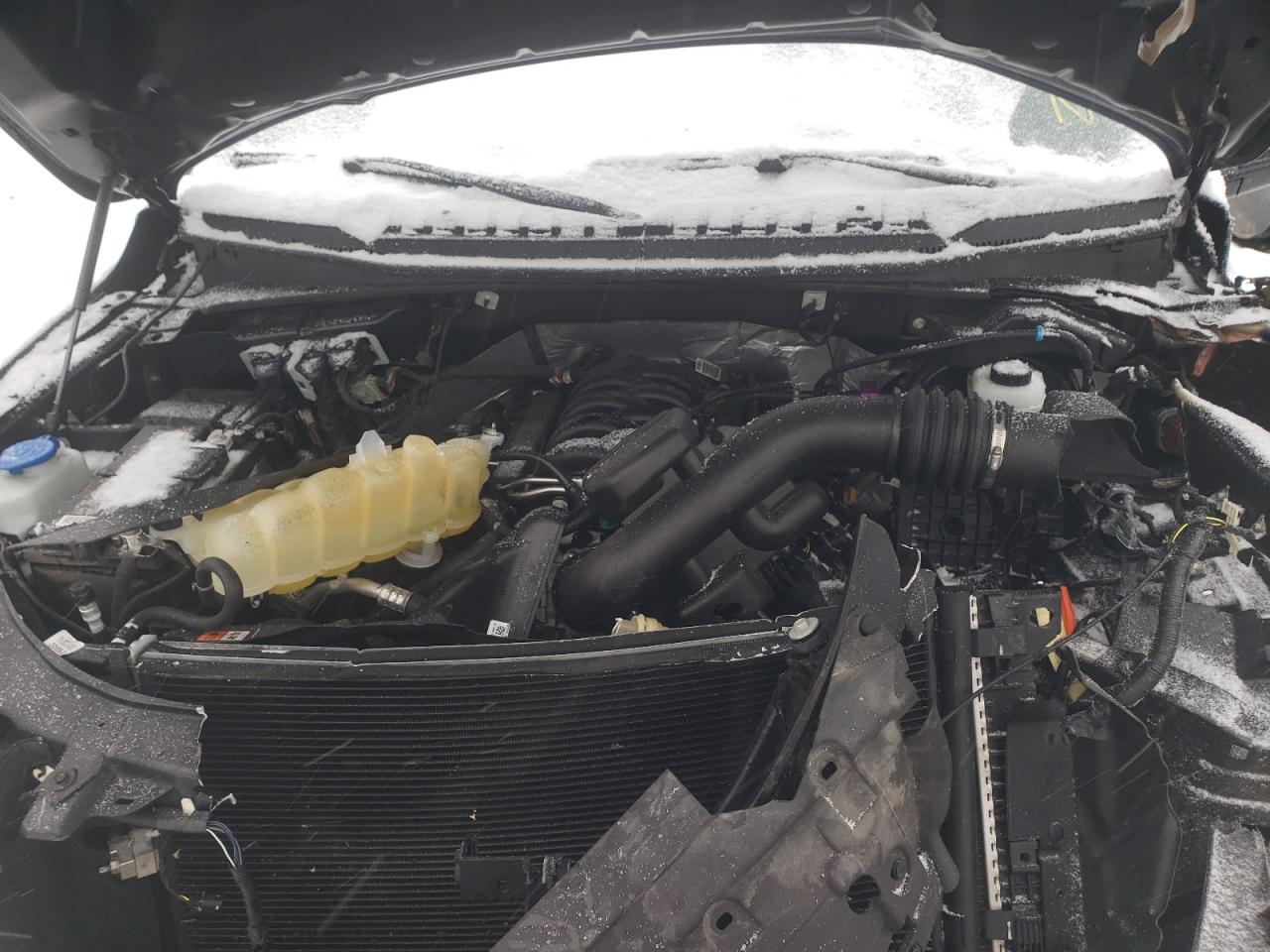 Photo 7 from auction – 2019 FORD F150 SUPER with VIN 1FTEW1E57KFC05426