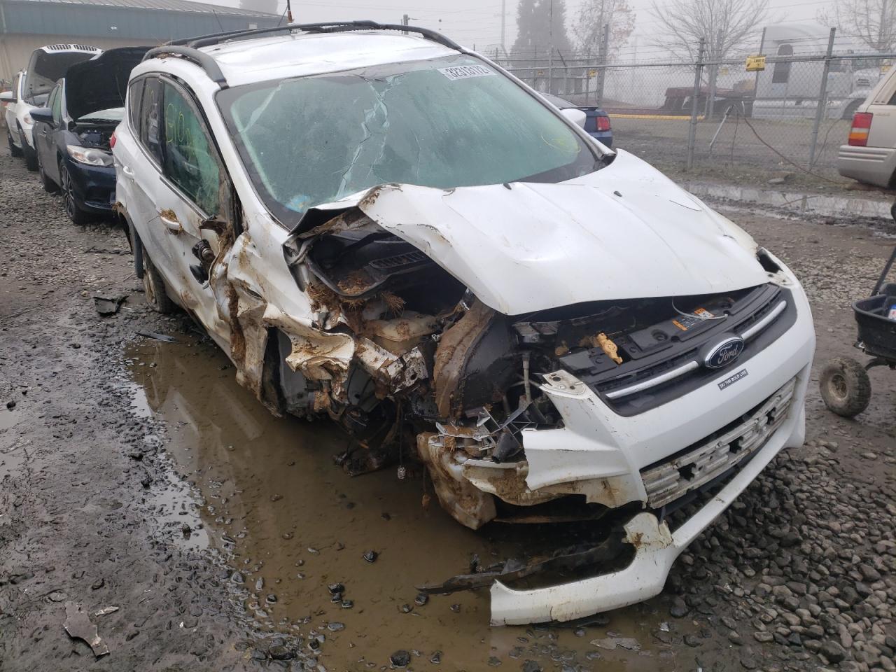 FORD ESCAPE SE 2013 with VIN 1FMCU0GX2DUB59469 - Photo from auction