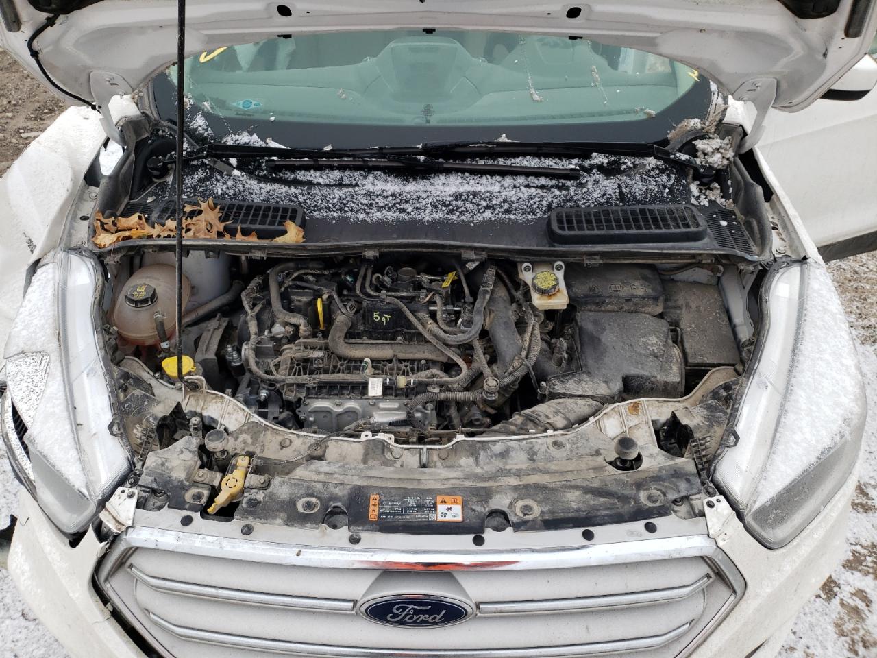Photo 7 from auction – 2019 FORD ESCAPE SE with VIN 1FMCU9GD7KUA19019