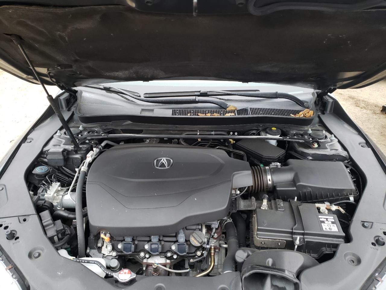 Photo 7 from auction – 2016 ACURA TLX with VIN 19UUB2F31GA007036