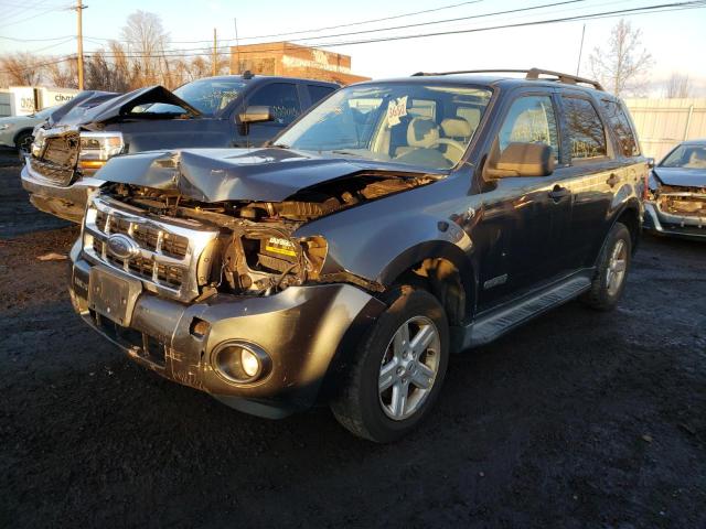 Photo 2 from auction – 2008 FORD ESCAPE with VIN 1FMCU49H68KD56062