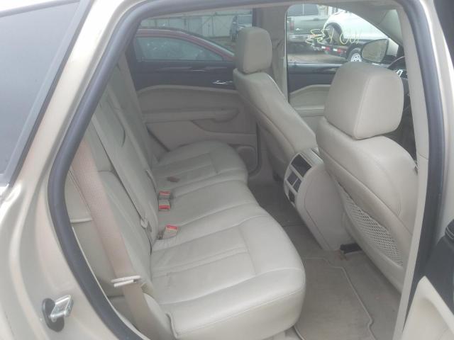 Photo 6 from auction – 2010 CADILLAC SRX LUXURY with VIN 3GYFNDEYXAS640982