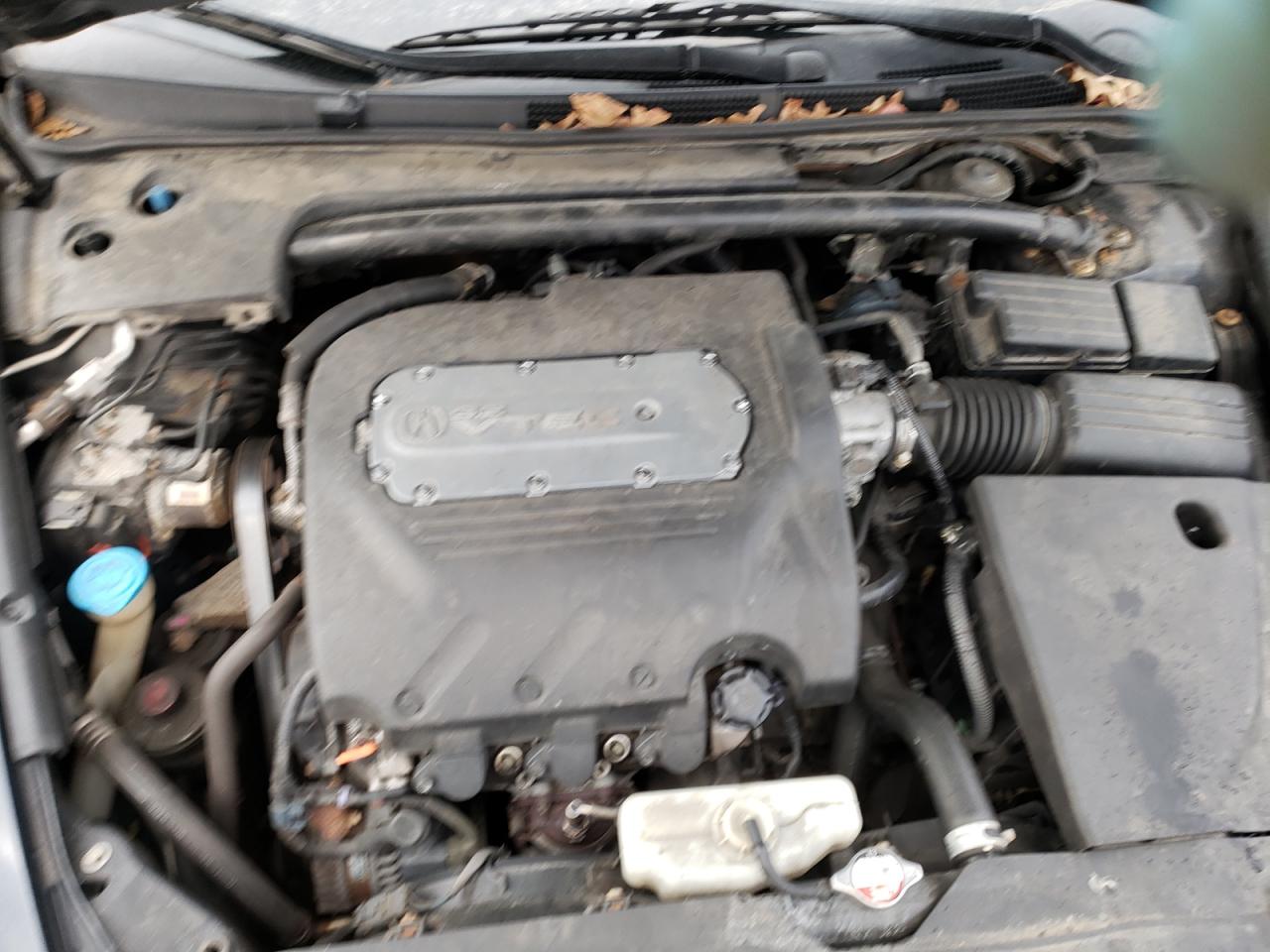 Photo 7 from auction – 2005 ACURA TL with VIN 19UUA66265A004759