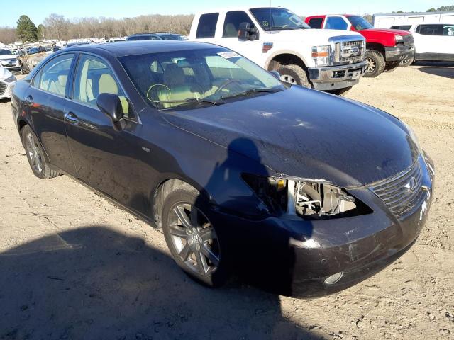 LEXUS ES 350 2008 with VIN JTHBJ46G282240926 - Photo from auction