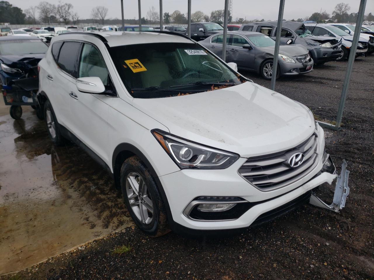 HYUNDAI SANTA FE S 2018 with VIN 5NMZU3LB4JH077966 - Photo from auction