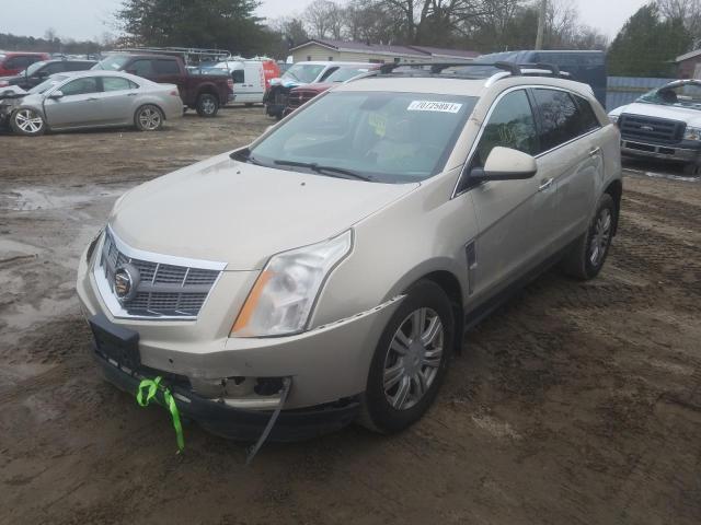 Photo 2 from auction – 2010 CADILLAC SRX LUXURY with VIN 3GYFNDEYXAS640982